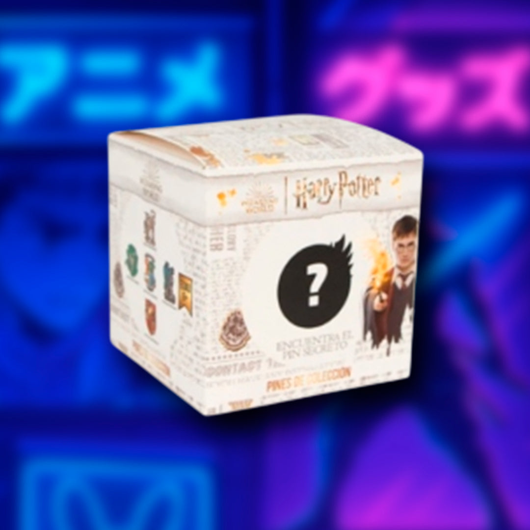 Pin Mystery Box Harry Potter